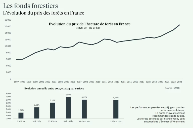 évolution du marché du bois